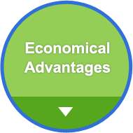 Economical Advantages