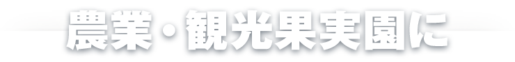 農業・観光果実に